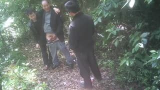 Questi asiatici godono insieme nel bosco Questi asiatici godono insieme nel bosco