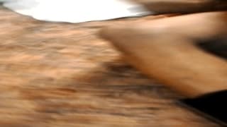 Verifica la tua età