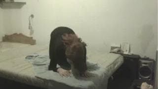 Verifica la tua età