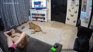 Lui la scopa sul divano davanti la tv