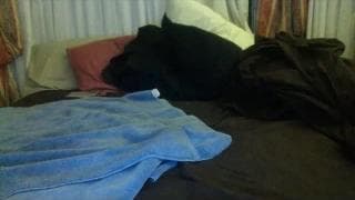 Verifica la tua età