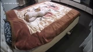 Grace gode usando i suoi sextoy a letto