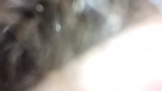 Verifica la tua età