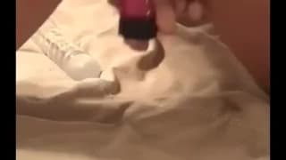 Verifica la tua età