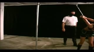 Verifica la tua età