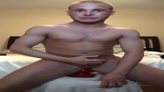 Ha tutti i giocattoli sessuali di cui hai bisogno Ha tutti i giocattoli sessuali di cui hai bisogno