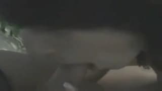 Lei ama il cazzo eccitato del suo uomo Lei ama il cazzo eccitato del suo uomo