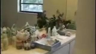 Verifica la tua età