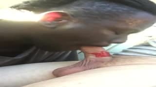 Oggi il suo amico nero glielo succhia Oggi il suo amico nero glielo succhia