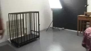 Verifica la tua età
