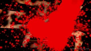 Verifica la tua età