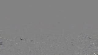 Alexis Adams in un Mago di Oz sexy