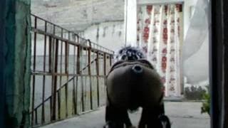 Questo gay si penetra il culo all'aperto