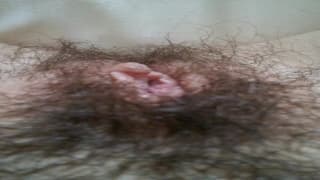 Una figa pelosa viene stimolata per bene