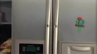 Verifica la tua età