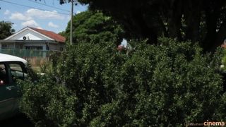 Verifica la tua età