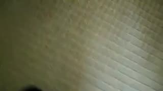 Verifica la tua età