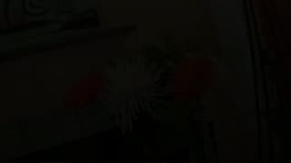 Verifica la tua età