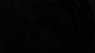 Verifica la tua età