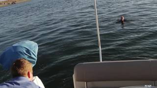 Verifica la tua età