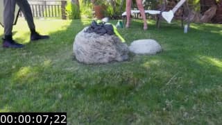 Verifica la tua età