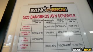 Verifica la tua età