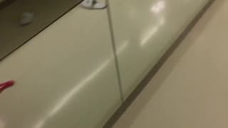 Verifica la tua età