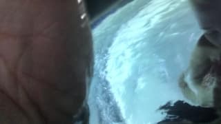 Tanta passione dentro questa vasca Tanta passione dentro questa vasca