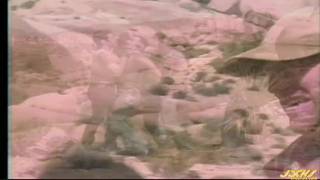 Verifica la tua età