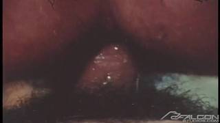 Mac Turner ed Eric Nolte in una scopata d'epoca