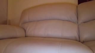 Amatoriali, Seghe, Webcam