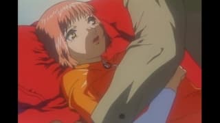 Verifica la tua età