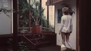 Un classico del porno americano degli anni '70