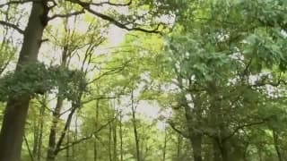 Verifica la tua età