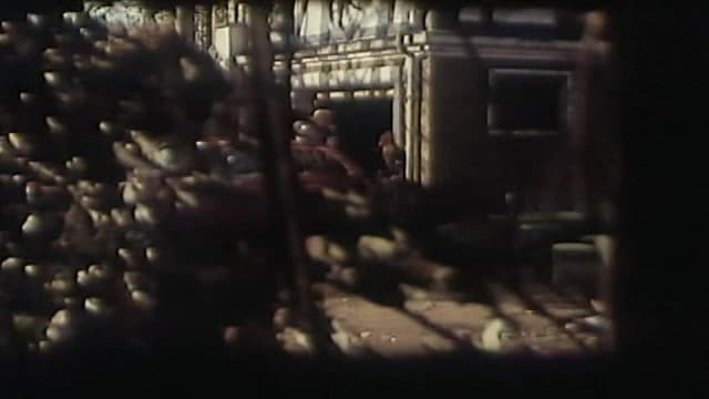 Verifica la tua età