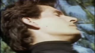 Verifica la tua età