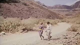 Sesso interrazziale vintage che amerai