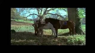 Verifica la tua età