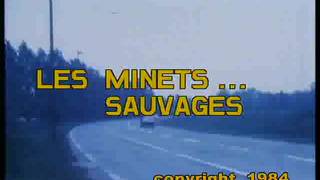 Verifica la tua età