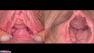 Nicole Love e Tiny Tina giocano con la loro figa