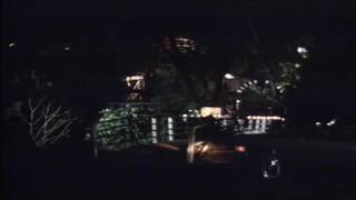 Porno vintage con Honey Wilder : Wild Dallas Honey.