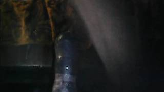 Questo uomo pelso si side sul suo grosso dildo