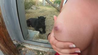 Questa coppia, molto arrapata, dove lui ha sborrato sulle sue tette Questa coppia, molto arrapata, dove lui ha sborrato sulle sue tette