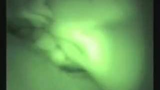 Ecco il sextape di Paris Hilton in albergo