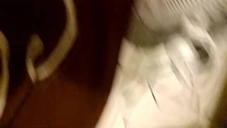 Un sextape in un primo piano con una francese amatoriale Un sextape in un primo piano con una francese amatoriale