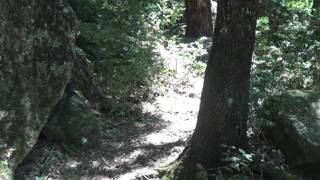 Verifica la tua età