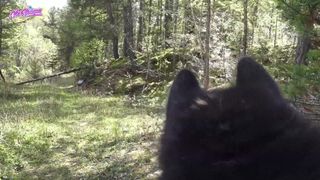 Verifica la tua età