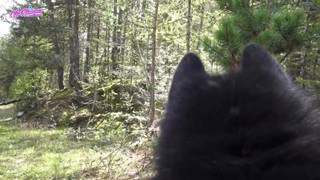 Verifica la tua età