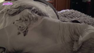 Victoria Alouqua fa sesso orale e scopa Victoria Alouqua fa sesso orale e scopa