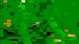 Verifica la tua età